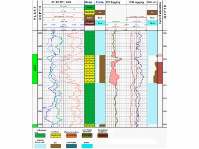 Examples of oil-saturated reservoir identifying by C/O logging diagrams